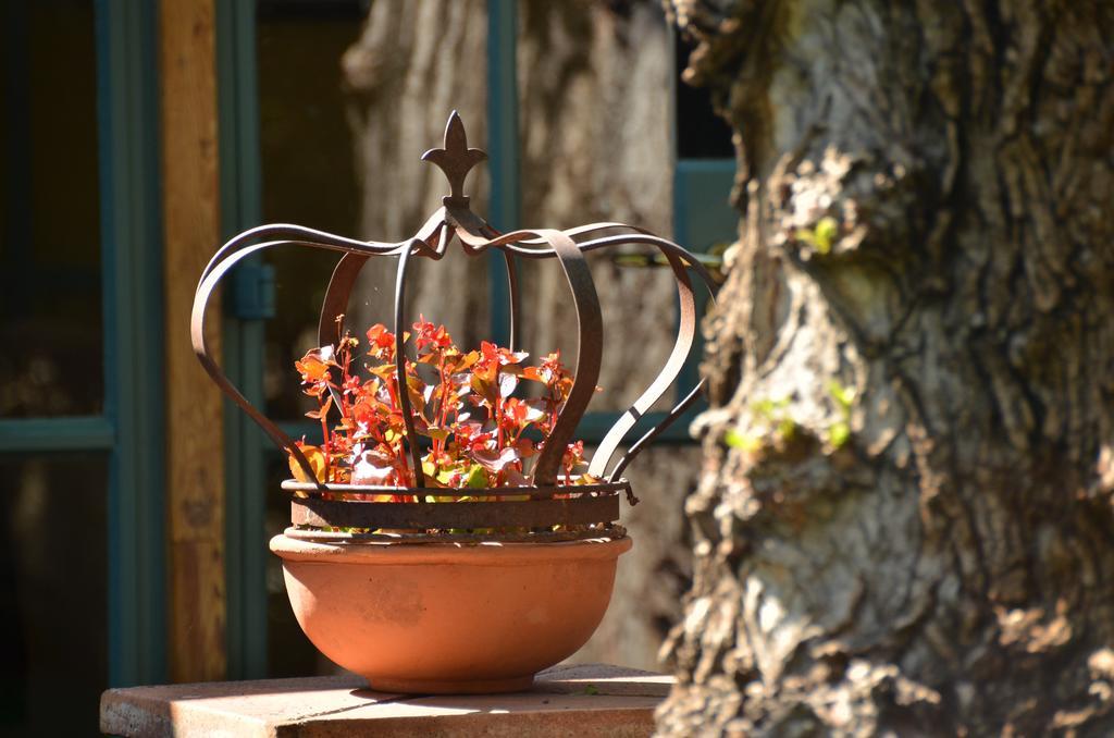 De Hoek Country Hotel Magaliesburg Dış mekan fotoğraf